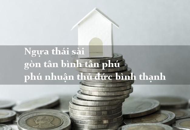 Ngựa thái sài gòn tân bình tân phú phú nhuận thủ đức bình thạnh