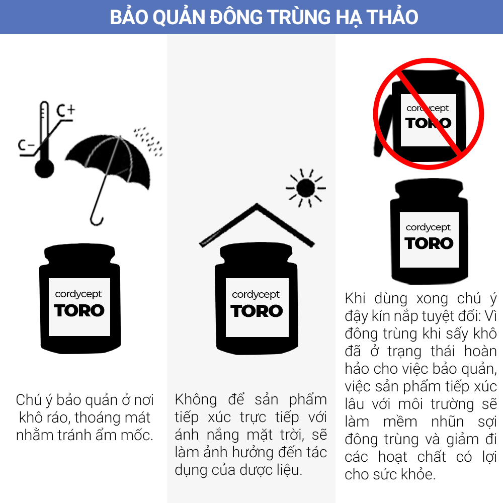 Đông trùng hạ thảo Toro sấy thăng hoa tăng sinh lý bồi bổ cơ thể khỏe