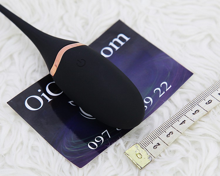 Trứng Rung Cá Heo Điều Khiển Từ Xa Silicone ABS Pin Sạc An Toàn