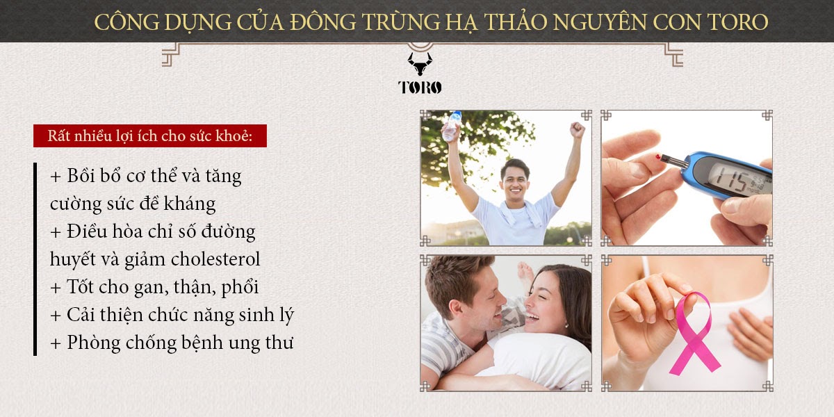 Đông trùng hạ thảo nguyên con 5g cao cấp bổ dưỡng tăng sinh lực