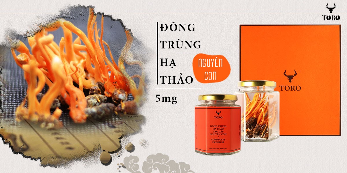 Đông trùng hạ thảo nguyên con 5g cao cấp bổ dưỡng tăng sinh lực