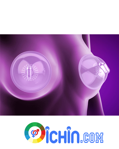 Máy Massage Vòng 1 Leten MiMi Tăng Nở Ngực Silicone An Toàn