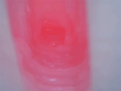 Bỏ sỉ Magic Eyes Uterus Hard hàng mới về  Bỏ sỉ Magic Eyes Uterus Hard hàng mới về