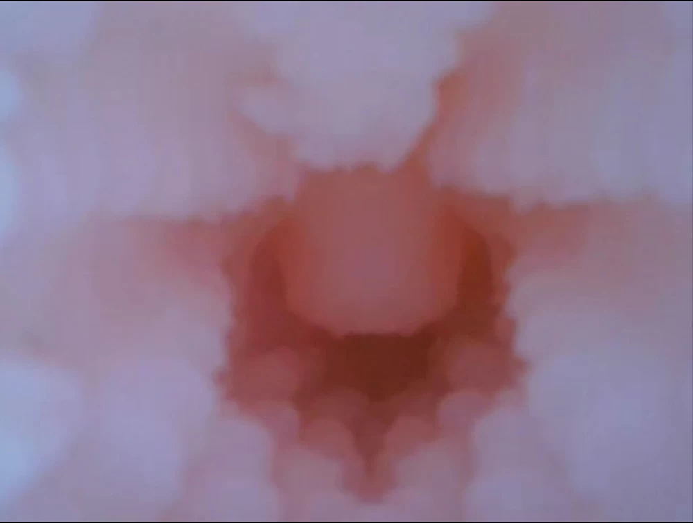 Búp bê tình yêu mini Nhật Bản silicon tròn mềm mịn nhẹ 1kg