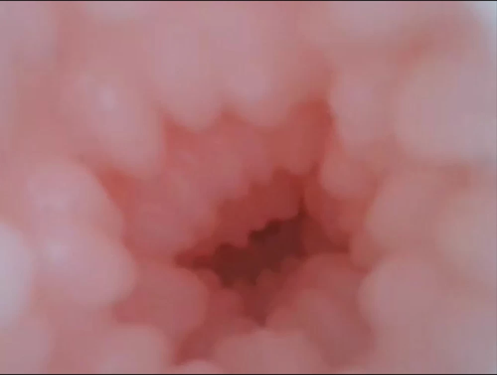 Búp bê tình yêu mini Nhật Bản silicon tròn mềm mịn nhẹ 1kg