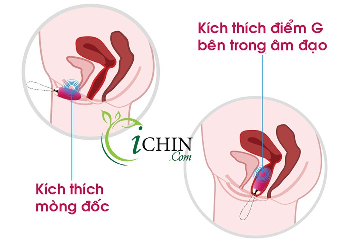 Svakom Elva 26 kiểu rung thông minh điều khiển từ xa pin sạc Svakom Elva 26 kiểu rung thông minh điều khiển từ xa pin sạc