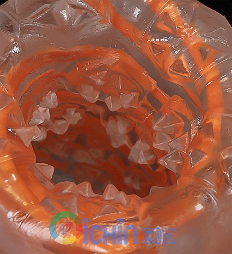 Tenga Spinner cup thủ dâm silicone cao cấp xoắn ốc 6 kiểu dạng độc Tenga Spinner cup thủ dâm silicone cao cấp xoắn ốc 6 kiểu dạng độc