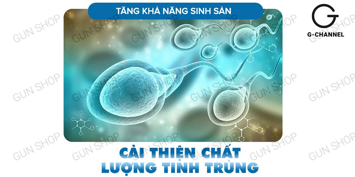 Maxman Mỹ chính hãng cường dương kéo dài thời gian chống xuất tinh sớm Maxman Mỹ chính hãng cường dương kéo dài thời gian chống xuất tinh sớm
