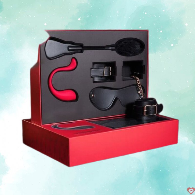 Set quà tặng đồ chơi bạo dâm BDSM cao cấp SVAKOM LIMITED EDITION