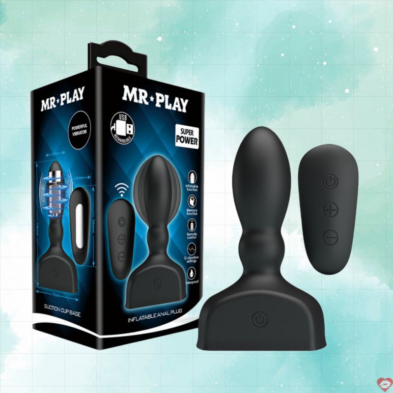 Trứng rung hậu môn Mr.Play Anal Plug