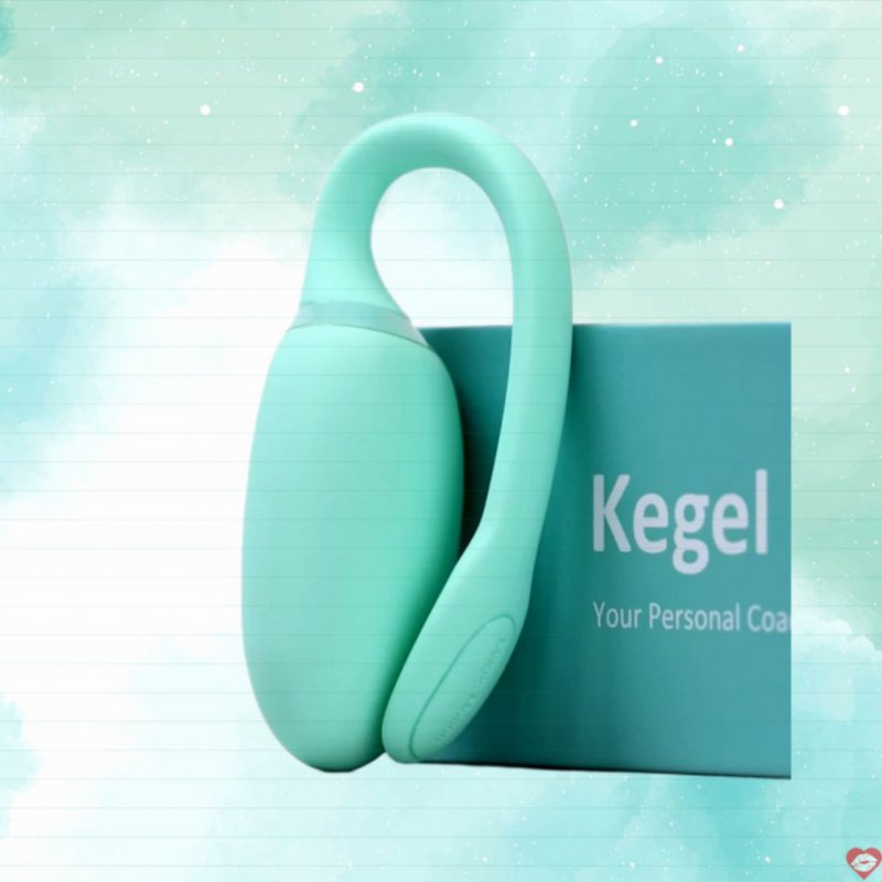 Magic Motion Fitcute Kegel Rejuve máy rung se khít kết hợp App