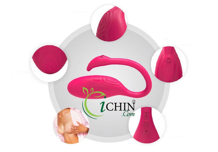Thiên nga Flamingo điều khiển từ xa bằng điện thoại