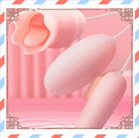 Đồ chơi sextoy rung 3 đầu Akira kích thích điểm G nam nữ