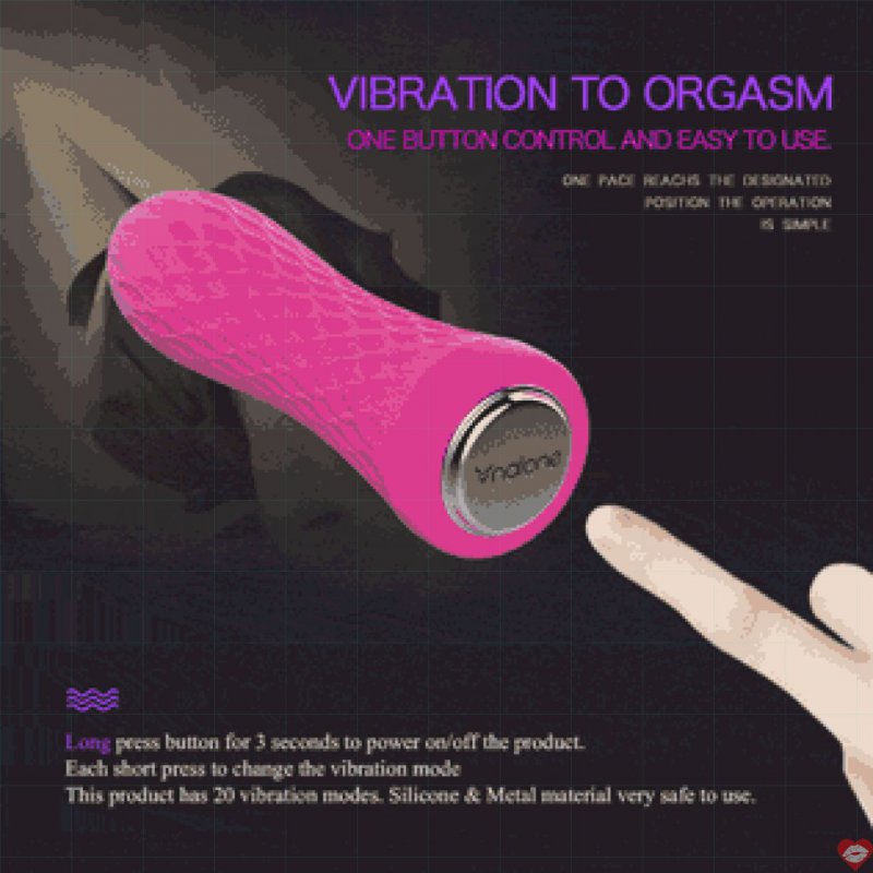 Thanh rung massage mini siêu mạnh Nalone Ian