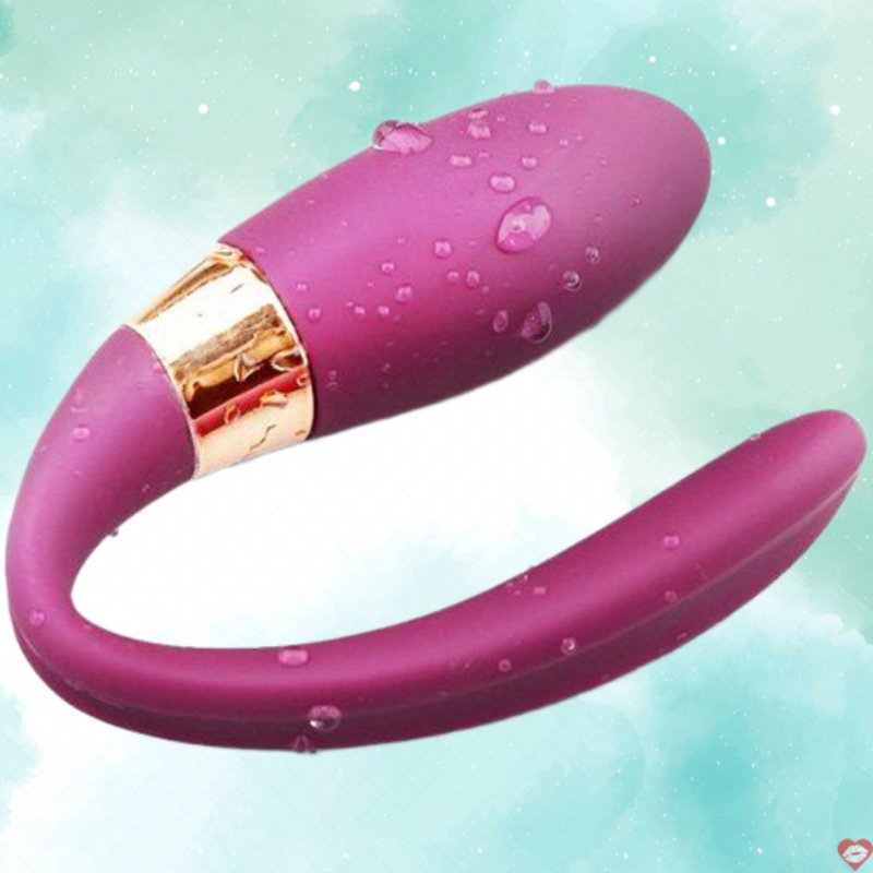 Trứng rung massage cao cấp điều khiển từ xa Dibe Alice