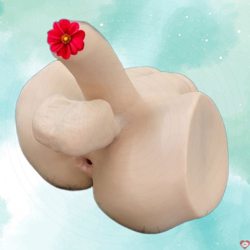 Laelia Toy – Dương Vật Giả Kèm Hậu Môn Của Chàng Trai - SHP1183